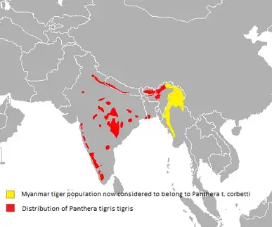 Bengal Tiger Habitat Map Where Do Bengal Tigers Live - Bengal Tiger Habitat - Zooologist
