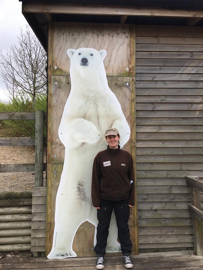 How big is a polar bear