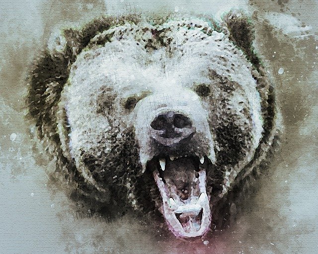 Grizzly Bear Jaw Strength