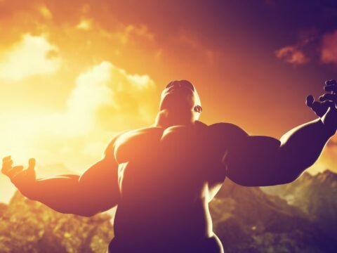 How strong are gorillas compared to humans - Zooologist