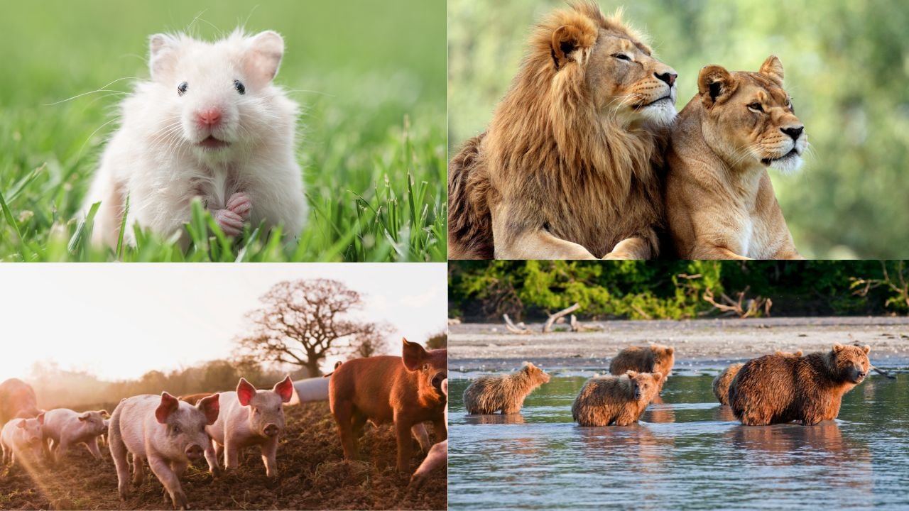 Mammals Eat Their Young