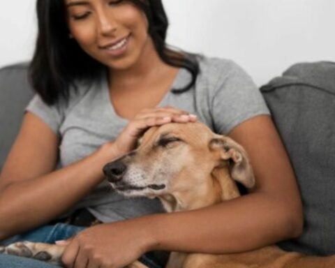 Pet Population Control