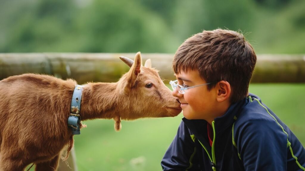Teaching Animal Compassion to kids