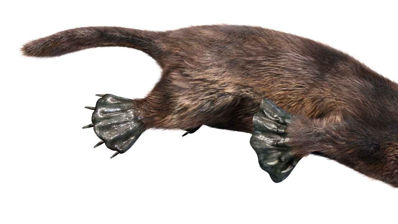 Venomous Spurs